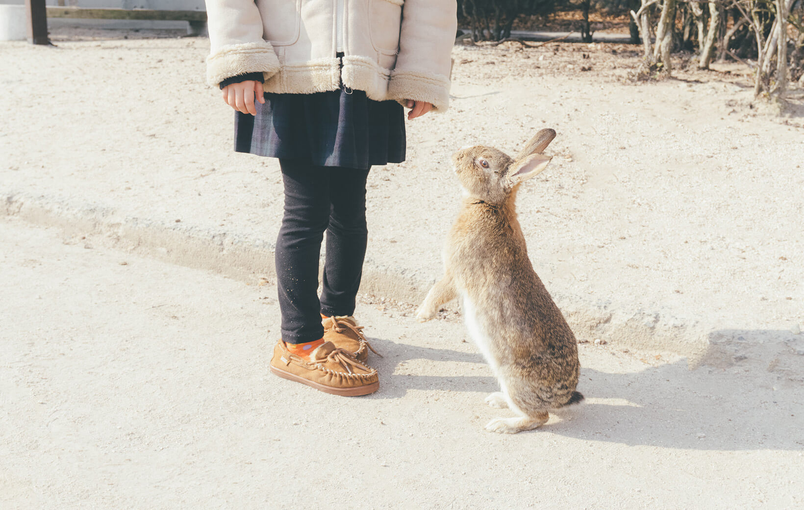 Freundschaft zwischen Mensch & Tier