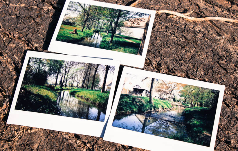 Bild zeigt Polaroids von einem Bach