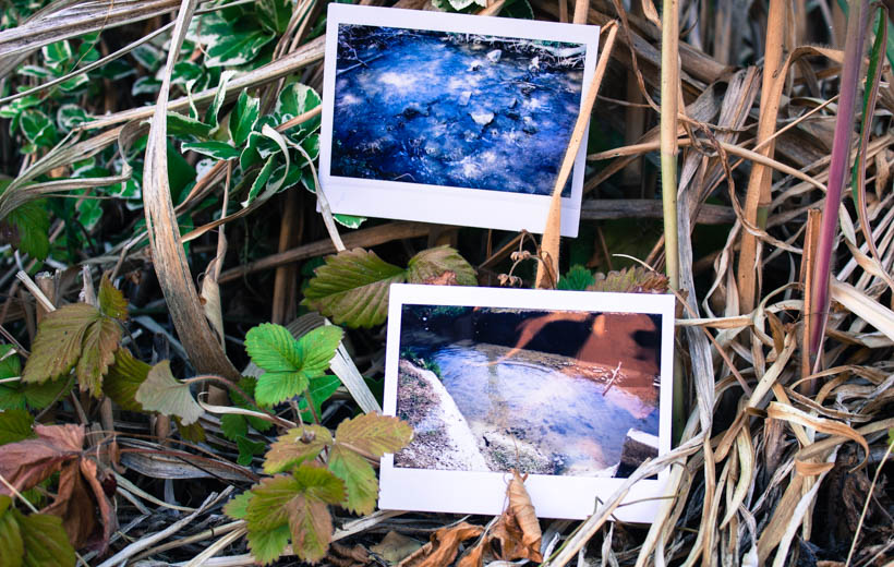 Bild zeigt Polaroids mit Wasserstellen