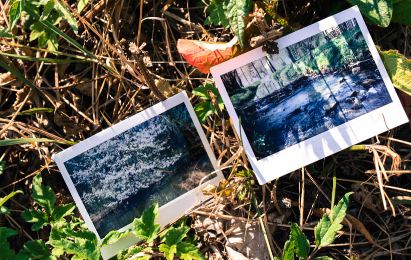 Bild zeigt zwei Polaroids mit Frühlingsbildern