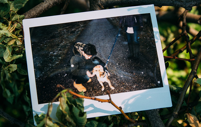 Polaroid auf dem ein Junge einen Hund streichelt.