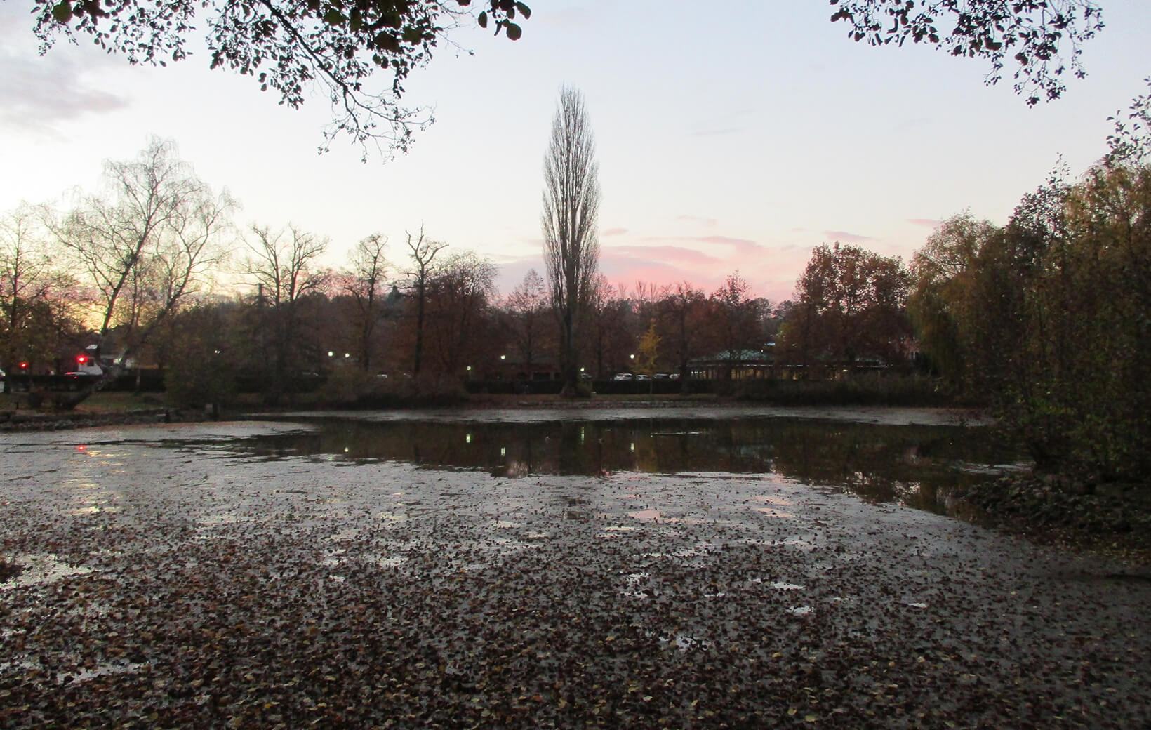 See im Sonnenuntergang